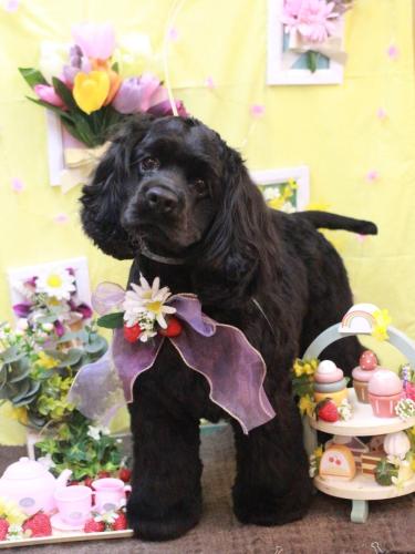 20230330天ちゃん